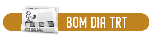 Descrição: cabeçalho do Bom Dia TRT. Barra na cor laranja (puxando para o dourado), texto na cor branca. Do lado esquerdo, o desenho de jornal com um cachorro na capa.